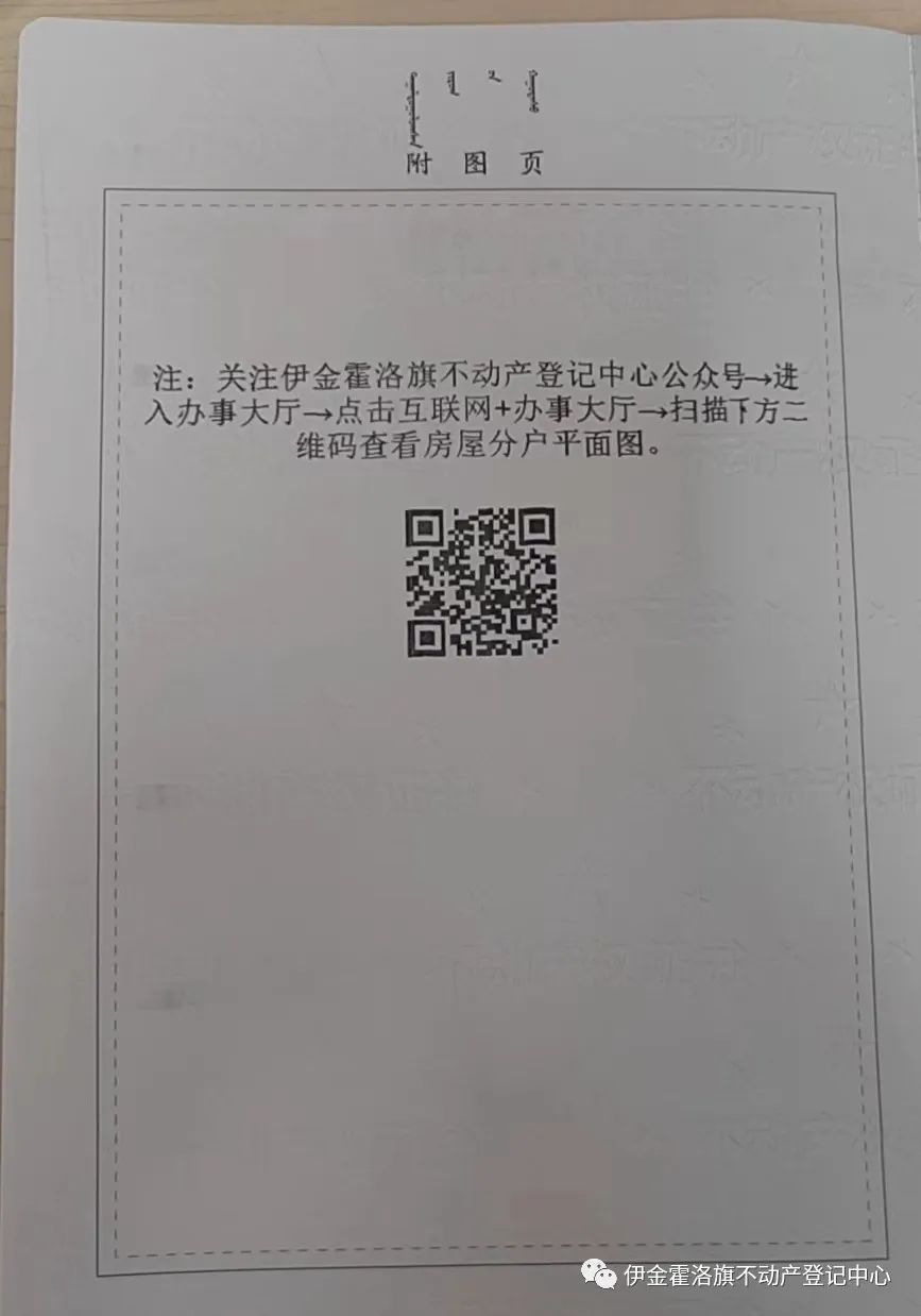 1652326768991002468.jpg